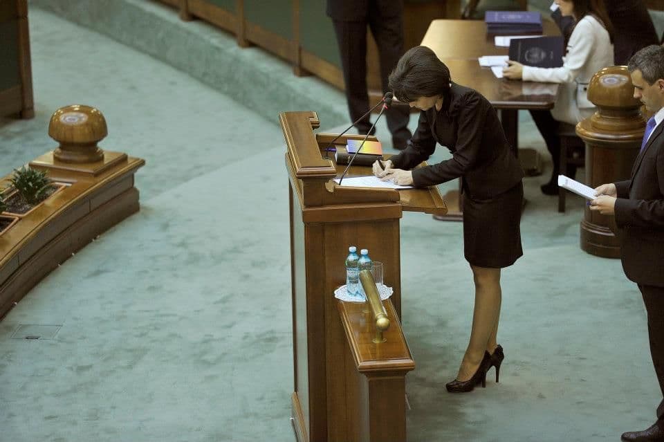 Doina Elena Federovici in Parlamentul Romaniei_1