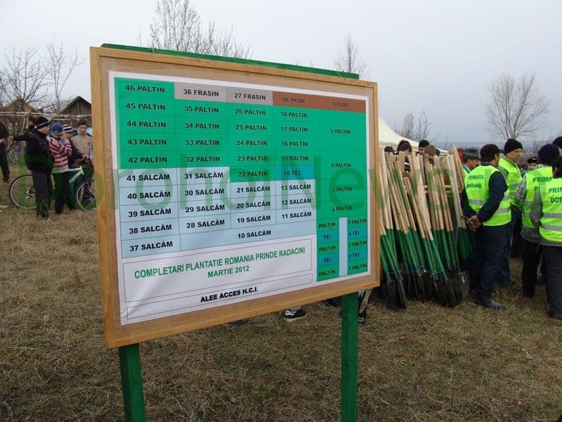Romania prinde radacini la Dorohoi_01