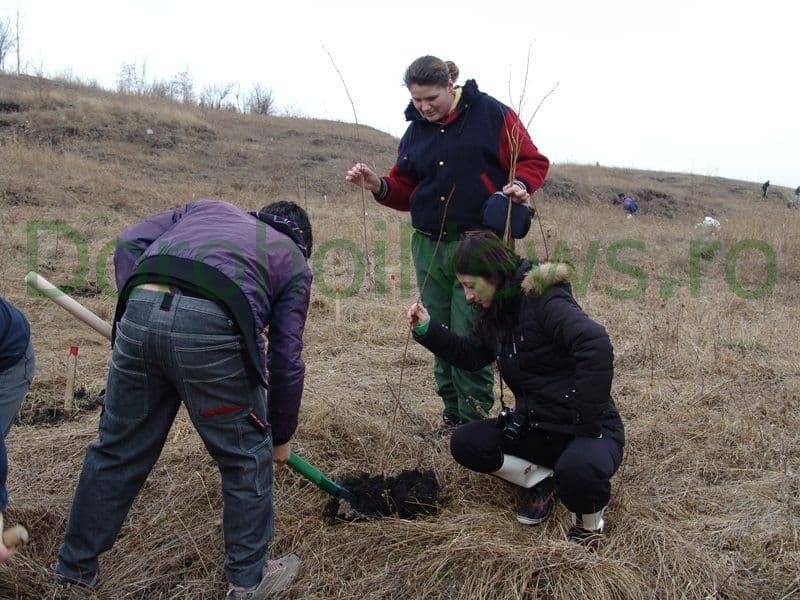 Romania prinde radacini la Dorohoi_11