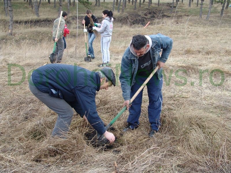 Romania prinde radacini la Dorohoi_12
