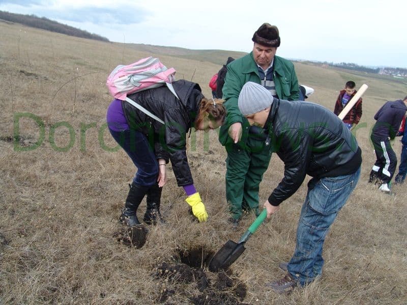 Romania prinde radacini la Dorohoi_16