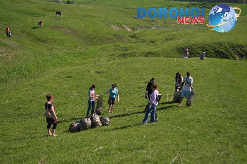 Let`s Do It, Romania! - Dorohoi 2012_10
