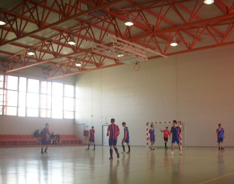 olimpiada Dorohoi (3)