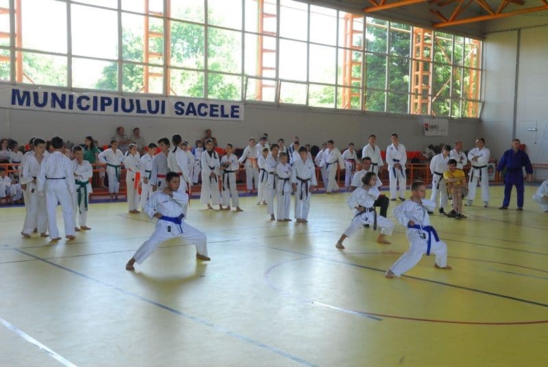 Clubul Black Tiger (3)