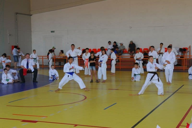 Clubul Black Tiger (6)