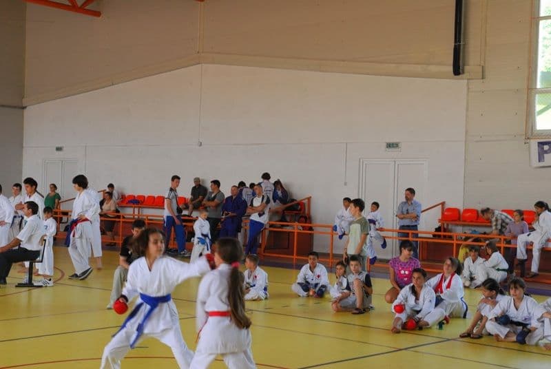 Clubul Black Tiger (8)