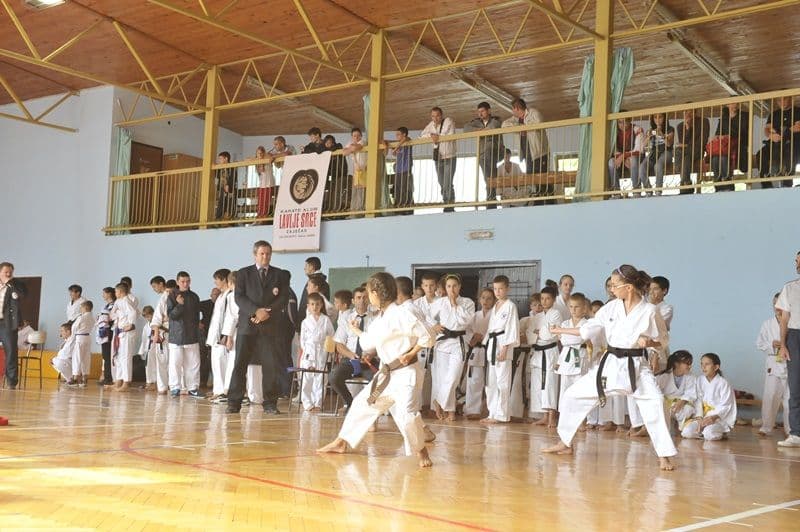 Dorohoieni invingatori la competitia din Serbia_07