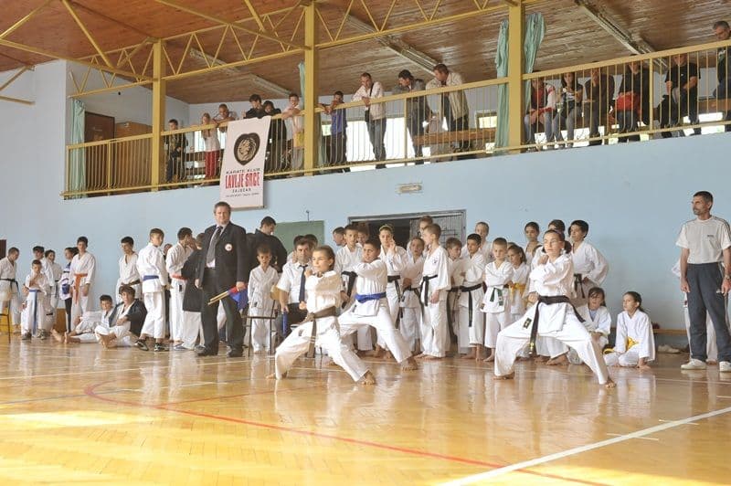Dorohoieni invingatori la competitia din Serbia_08