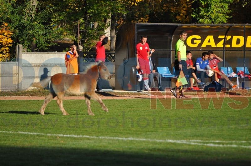FCM Dorohoi - CS Kosarom Pascani_15