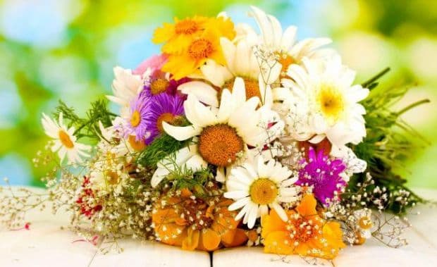 Horoscopul florilor: Ce plantă reprezintă zodia ta şi ce spune despre tine