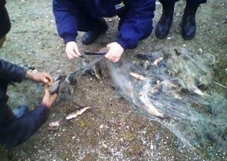 Dosar penal pentru trei bărbaţi prinşi la pescuit cu plasă monofilament