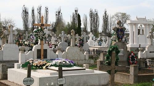 BOR vrea să elimine concurenţa cimitirelor private care „nu au nimic sacru în ele şi sunt doar o sursă de bani”