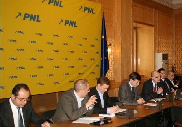 TNL a început campania pentru alegerile prezidențiale 