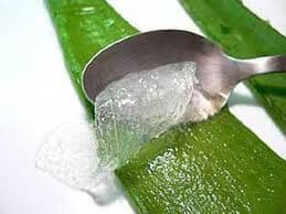 Aloe Vera vindecă arsurile şi iritaţiile pielii