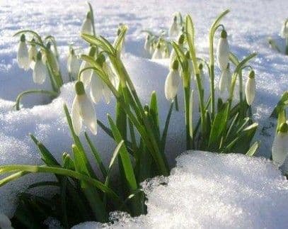 Cum va fi vremea în lunile februarie, martie și aprilie