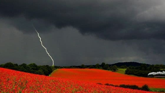 DRAMĂ: A câștigat premiul dorit în ziua înmormântării