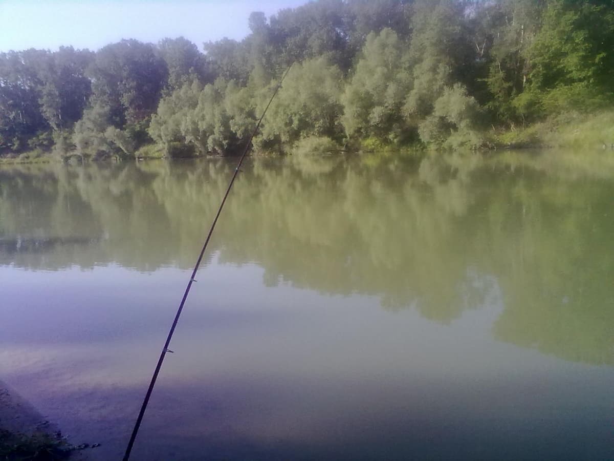 Vezi ce avize sunt necesare desfășurării activităților de „pescuit recreativ-sportiv” 