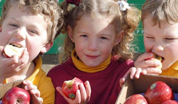 Spicul Dorohoi va distribui mere în toate şcolile judeţul Botoșani