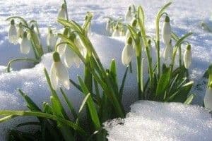 Prognoza meteo pe două săptămâni. Cum va fi vremea de Mărţişor