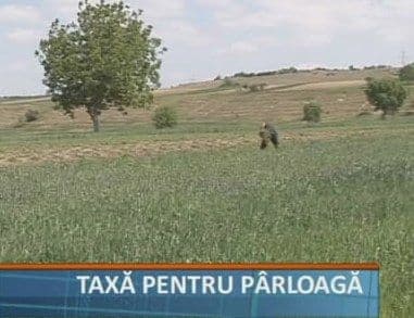 Veşti proaste pentru agricultori. Guvernul le pregăteşte o nouă taxă