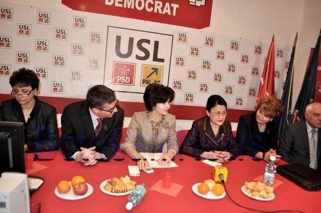 Ecaterina Andronescu a discutat cu autoritatile locale problemele invatamantului botosanean