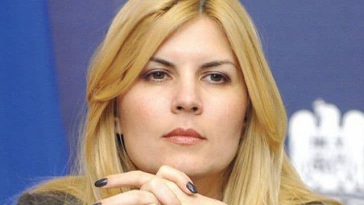 Motivul incredibil pentru care Elena Udrea nu a făcut nuntă 