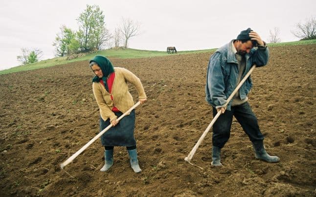 Totul despre noile taxe din agricultură