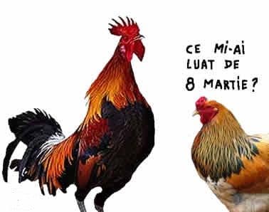 Câţi bani au cheltuit dorohoienii pentru 8 Martie. Vezi rezultatul sondajului!    