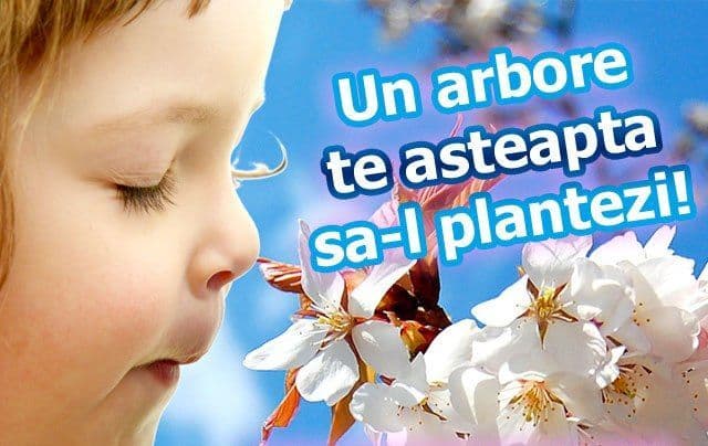 Primăria Dorohoi organizează o nouă campanie de plantare de pomi, sub sloganul „Te iubesc Dorohoi”
