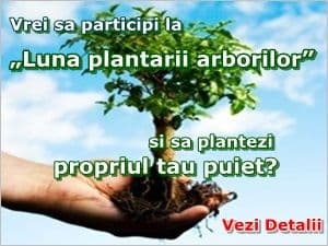 Ocolul Silvic Dorohoi - Ofertă puieți!