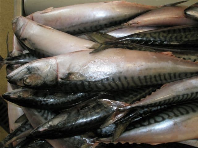 La ce trebuie să fii atent atunci când cumperi produse alimentare pe bază de peşte