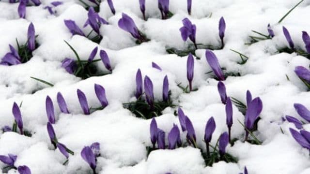 Când a fost cel mai frig în martie în România