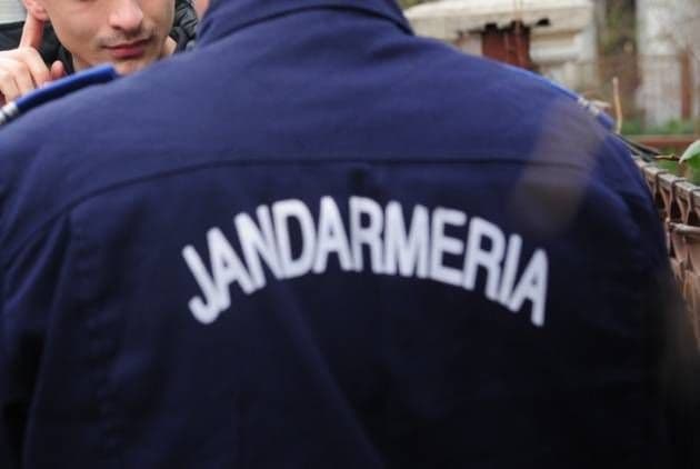 Amenzi în valoare de 40.000 lei aplicate de jandarmii botoșăneni în urma verificărilor efectuate la depozitele de lemne