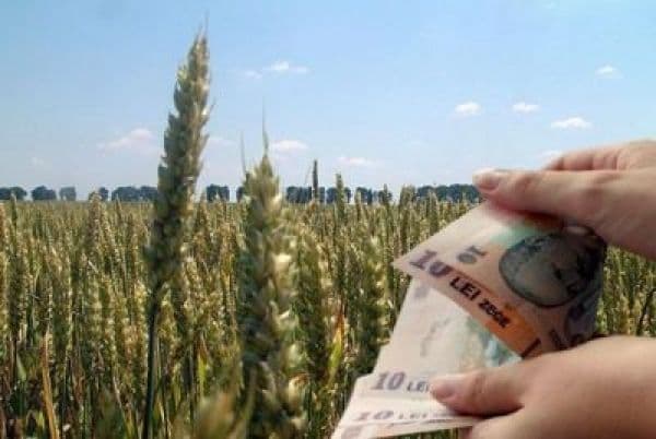 Sistemul de impozitare în agricultură a fost revizuit. Vezi cine va fi scutit de impozit