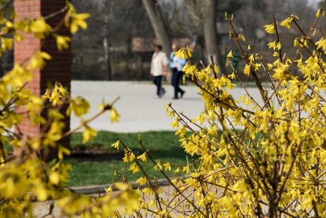 Vezi cum va fi vremea de Florii, 1 Mai şi Paşte