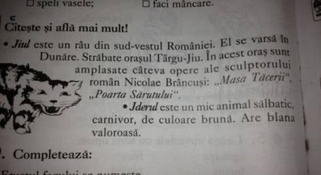 Gafă impardonabilă într-un manual şcolar