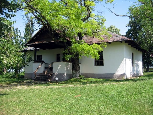 Expoziţie temporară de bunuri culturale din patrimoniul Memorialului Ipoteşti - FOTO