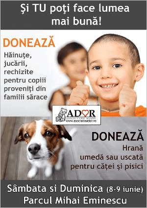 Asociația ADOR Botoșani: „Și tu poți face lumea mai bună”