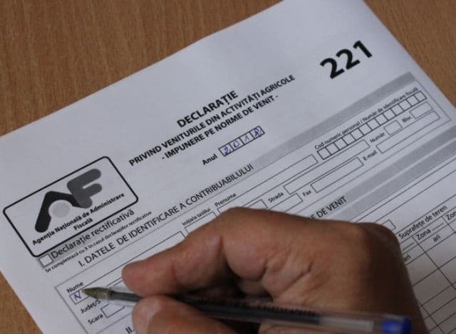 Prelungire depunere declaratia 221