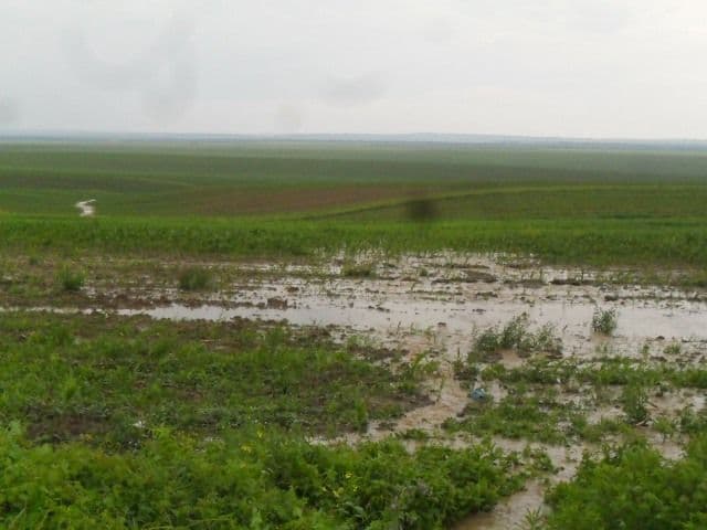 Gospodării, drumuri şi culturi distruse de ploile torențiale, în ultimele două zile