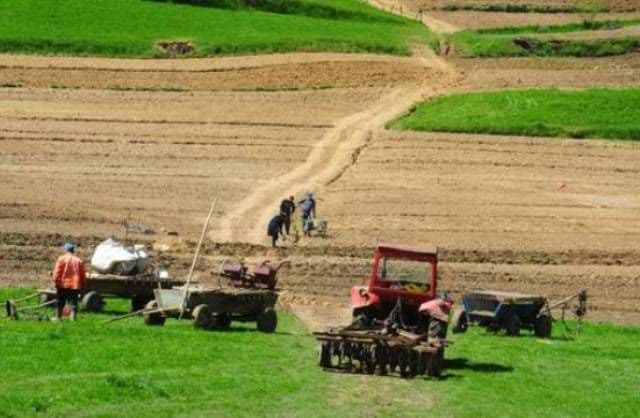 Statul pune restricţii dure la achiziţia de teren agricol, de la anul