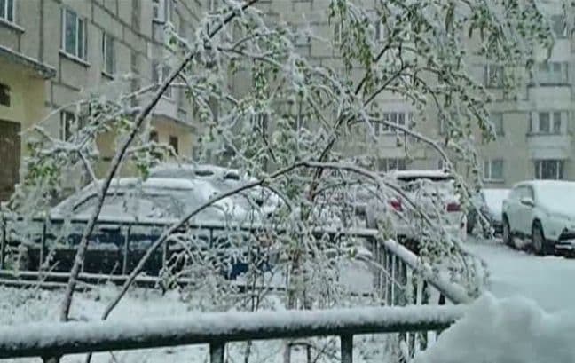 Ninsoare în mijlocul verii