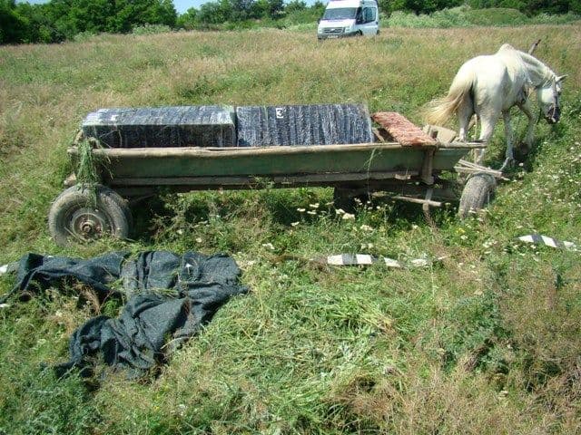 Ţigări de contrabandă descoperite la frontieră