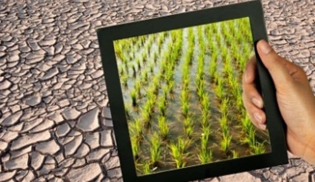 Veste excelentă pentru agricultori. „Este cea mai mare realizare a agriculturii româneşti din ultimii 10 ani”