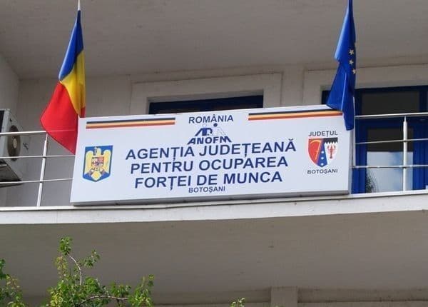 Peste 100 de locuri de muncă: Germania caută bucătari, ospătari și barmani. Vezi detalii!