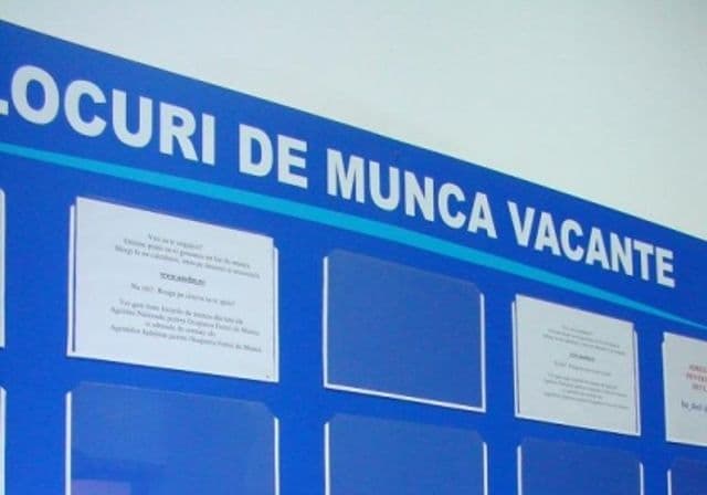 AJOFM Botoșani: 71 locuri de muncă disponibile în luna iulie