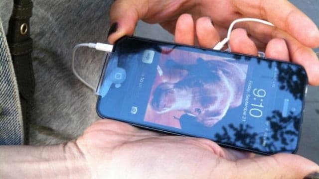 Apple anchetează cum a fost posibil ca o tânără din China să moara, după ce a răspuns la iPhone