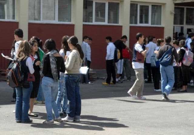 Structura anului școlar 2013-2014. Vezi când vor avea vacanță elevii