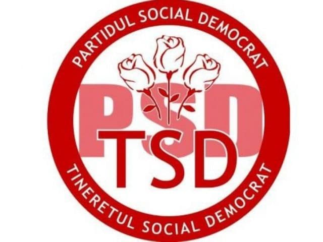 Luptă acerbă pentru şefia TSD: fina premierului, un cântăreţ şi un crescător de vipere sunt favoriţii