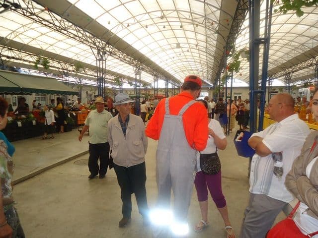 SVSU Dorohoi: Campania „Preveniți ghinionul” - FOTO